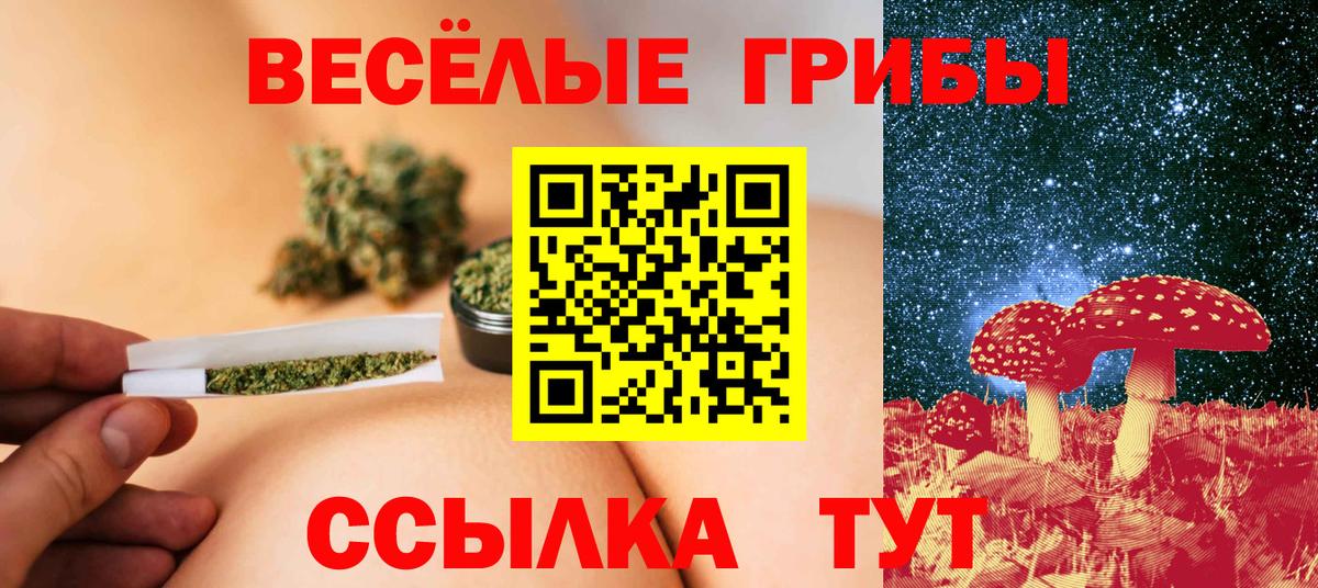 Псилоцибиновые грибы GOLDEN TEACHER  Псилоцибиновые грибы мухоморы  Вход с VPN  Тихвин 