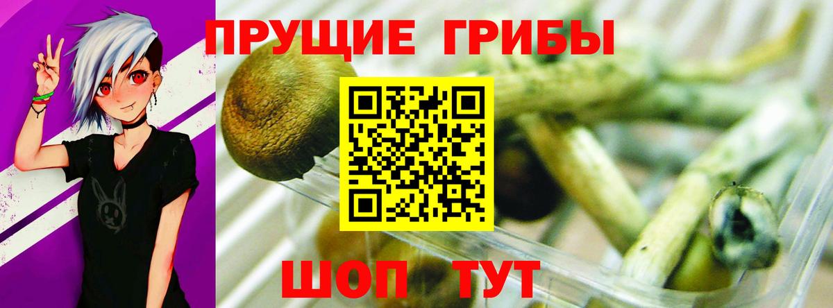 Псилоцибиновые грибы MAGIC MUSHROOMS Тихвин