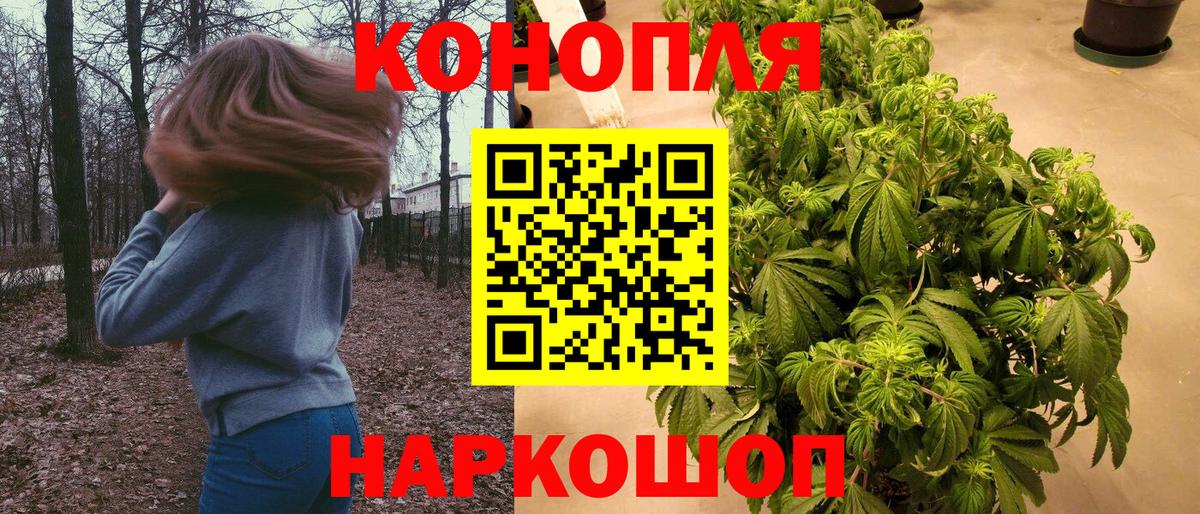 Канабис сатива Тихвин